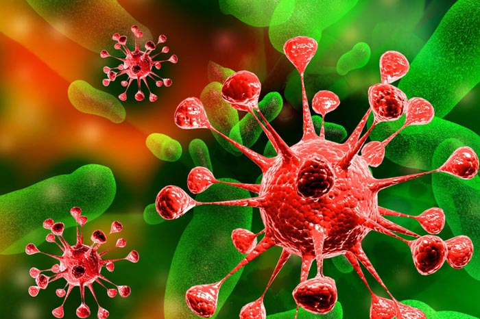 세균 · 곰팡이 · 바이러스 감염증, 증상별 정리