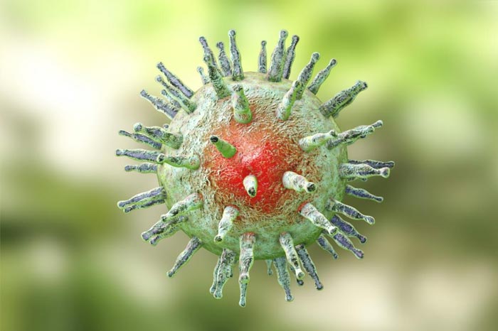 입술 · 생식기 수포? 단순포진(헤르페스)의 이해와 대처법